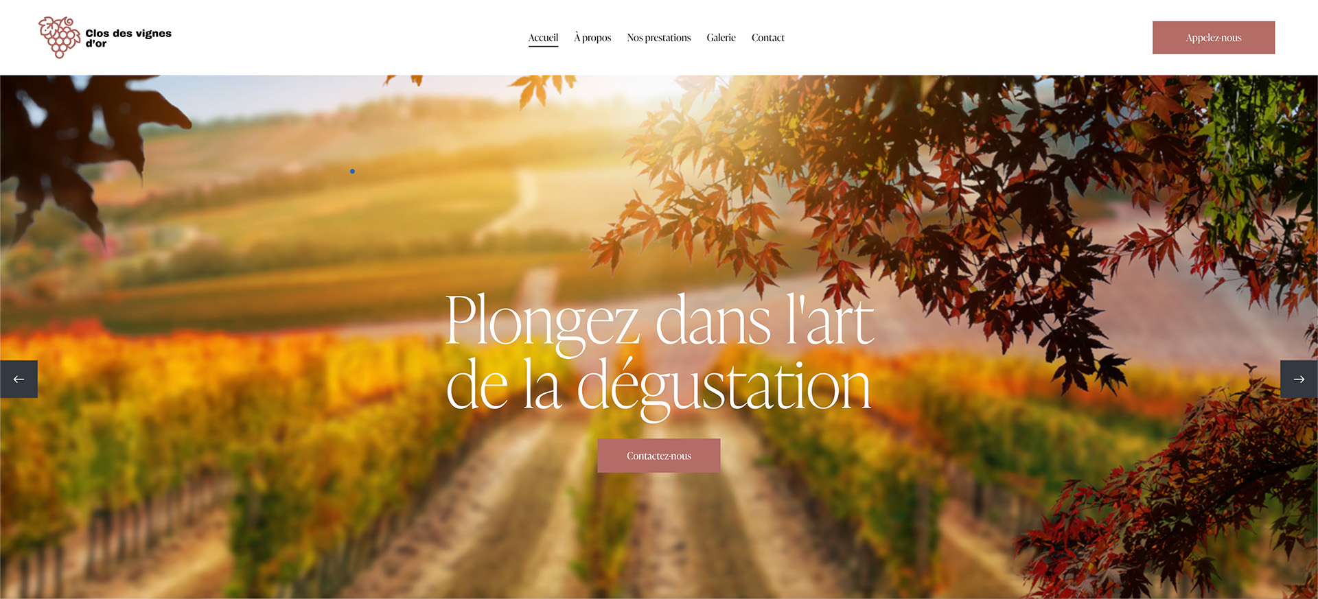 Présentation du thème 'Vignoble', conçu spécialement pour les sites web de domaines viticoles et vignobles. - Tours